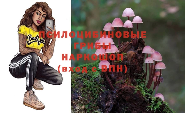 ешки Алзамай