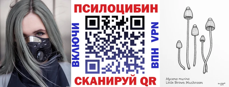 Купить закладки  Волгоград  Псилоцибиновые грибы прущие грибы 