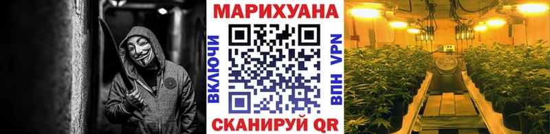 Канабис сатива Волгоград
